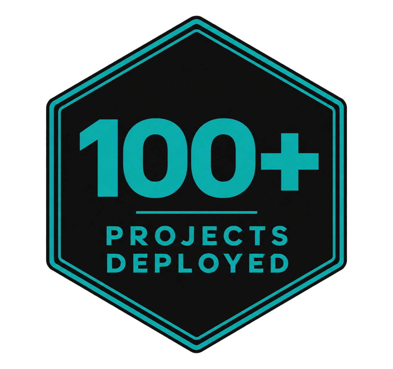 Meer dan 100 uitgevoerde projecten